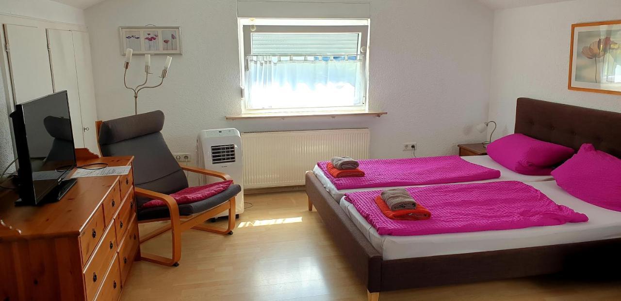 Apartmenthaus "Zum Lowen" Heidelberg - Ziegelhausen エクステリア 写真
