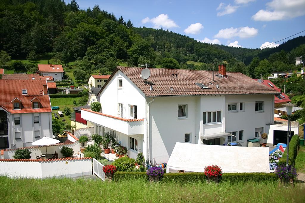 Apartmenthaus "Zum Lowen" Heidelberg - Ziegelhausen エクステリア 写真