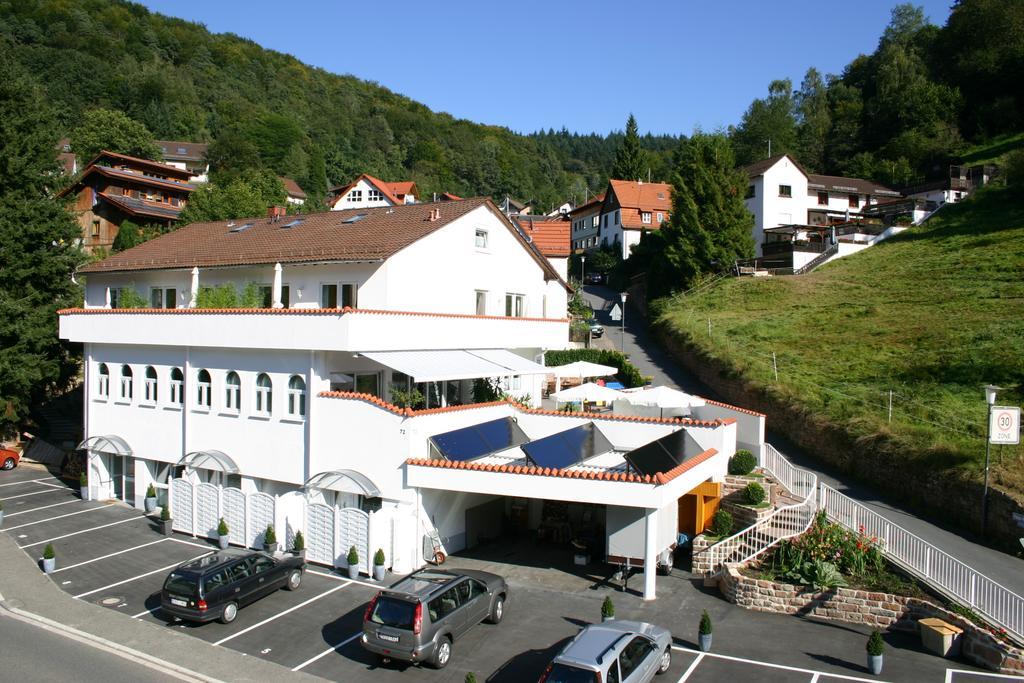 Apartmenthaus "Zum Lowen" Heidelberg - Ziegelhausen エクステリア 写真