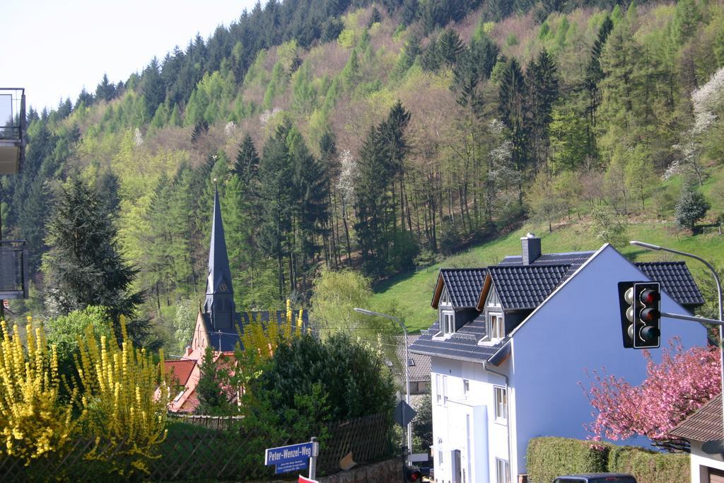 Apartmenthaus "Zum Lowen" Heidelberg - Ziegelhausen エクステリア 写真
