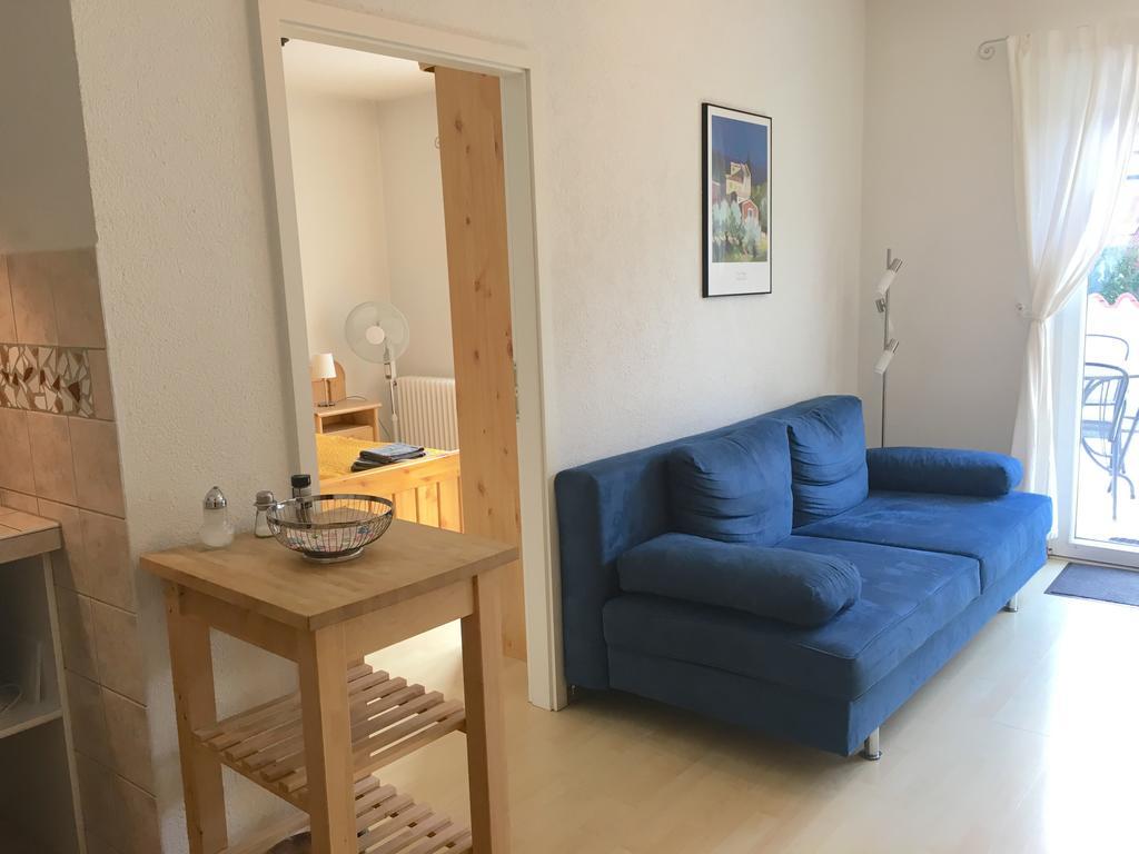 Apartmenthaus "Zum Lowen" Heidelberg - Ziegelhausen エクステリア 写真