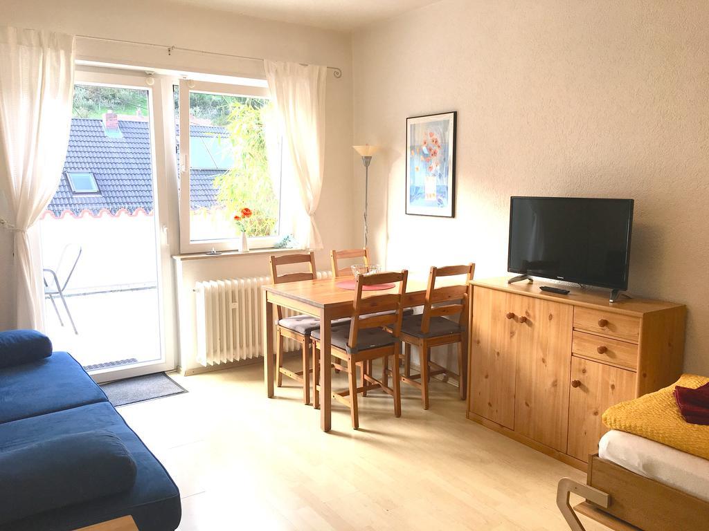 Apartmenthaus "Zum Lowen" Heidelberg - Ziegelhausen エクステリア 写真