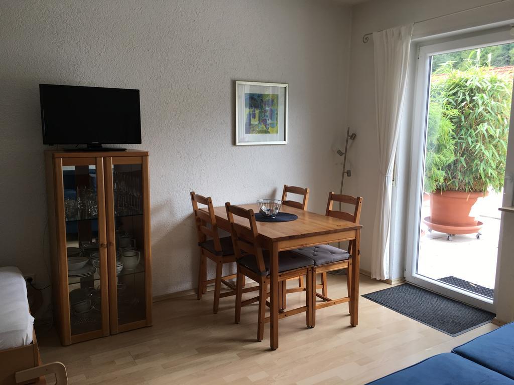 Apartmenthaus "Zum Lowen" Heidelberg - Ziegelhausen エクステリア 写真