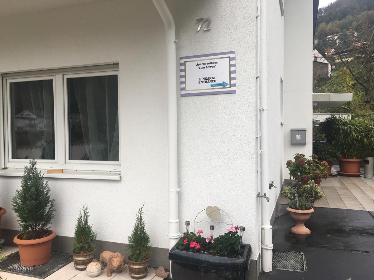 Apartmenthaus "Zum Lowen" Heidelberg - Ziegelhausen エクステリア 写真