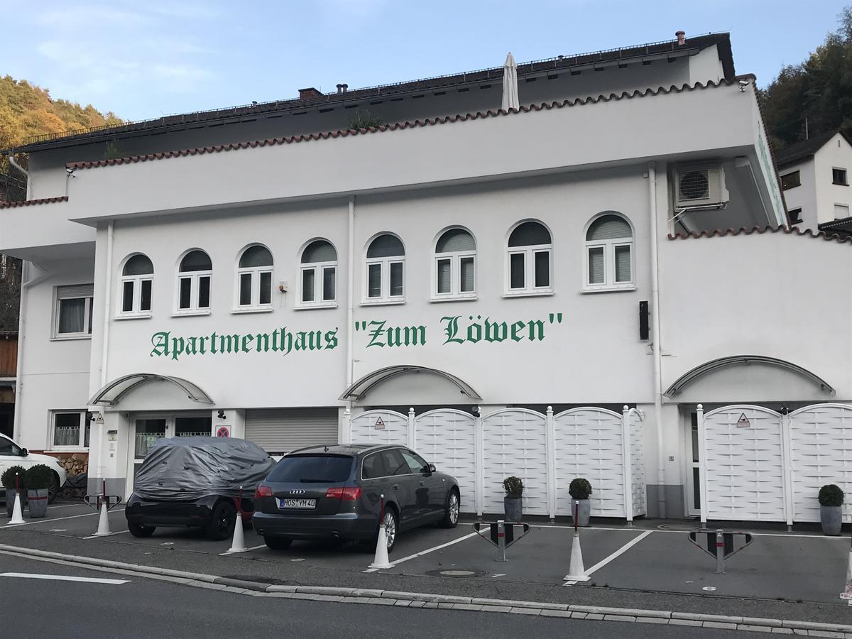 Apartmenthaus "Zum Lowen" Heidelberg - Ziegelhausen エクステリア 写真