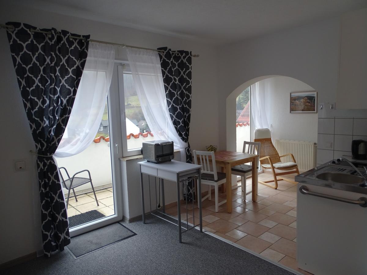 Apartmenthaus "Zum Lowen" Heidelberg - Ziegelhausen エクステリア 写真