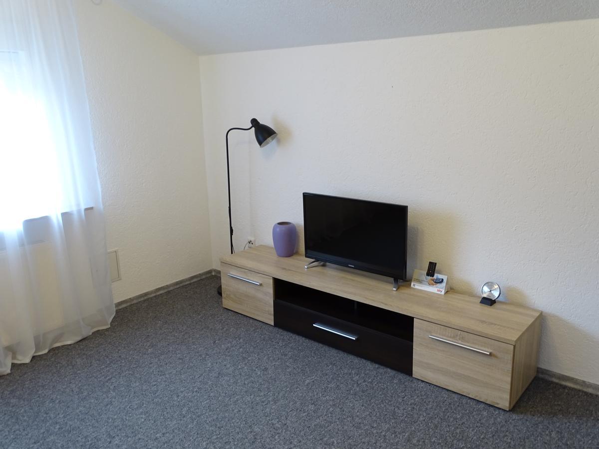 Apartmenthaus "Zum Lowen" Heidelberg - Ziegelhausen エクステリア 写真