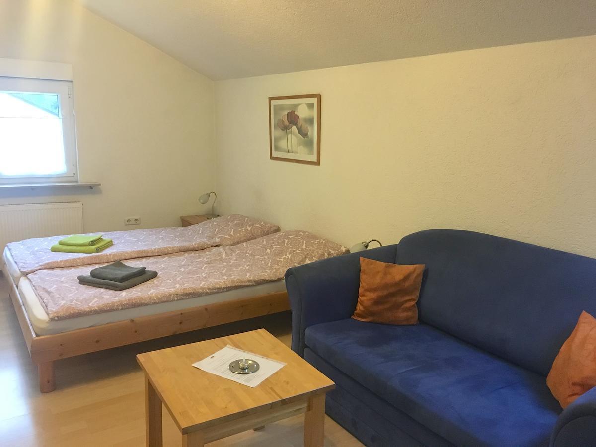 Apartmenthaus "Zum Lowen" Heidelberg - Ziegelhausen エクステリア 写真